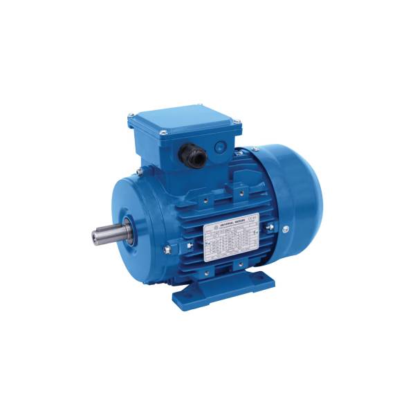 3 Phase Motors