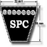 SPC Section (22mm x 18mm)